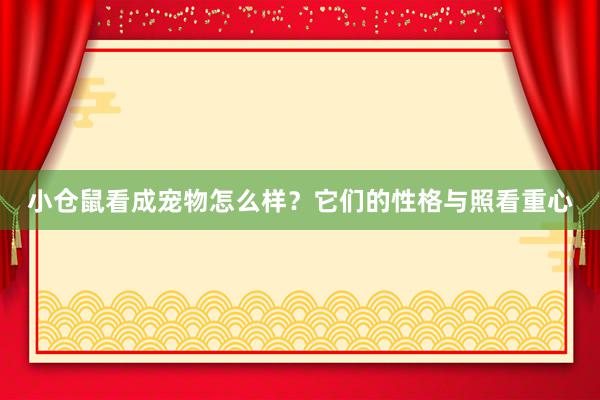 小仓鼠看成宠物怎么样？它们的性格与照看重心