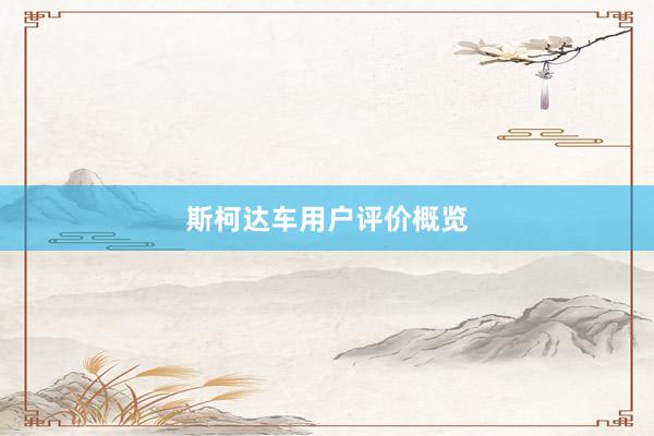 斯柯达车用户评价概览